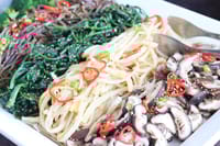 益生菌副作用：常見問題與解決之道