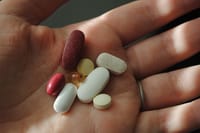 益生菌的真實功效:它們如何改變你的腸道健康與免疫系統?