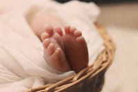 嬰兒益生菌的最新趨勢:為何專家一致推薦它們以促進健康發展?