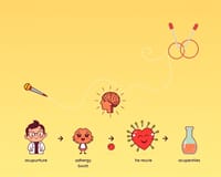 針灸療法：從傳統中醫理論到現代科學實證的健康效益