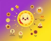 深入解析細胞內抗氧化機制：如何從根本抵禦氧化壓力與慢性發炎