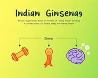 服用印度人蔘六個月後的真實體驗：健身、睡眠與心理健康的全面解析