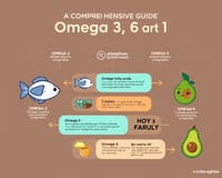 omega 3 6 9 的全面解析：如何選擇最適合你的健康補充品