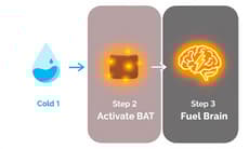 因紐特飲食特色解析：脂肪代謝與寒帶生活的關聯
