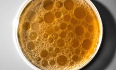 AI 如何從零設計出活性病毒？研究過程與潛在應用解析