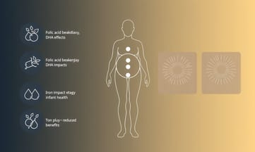 拆解葉酸、DHA、鐵等營養素對母嬰健康的影響