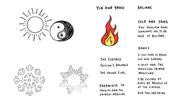 陰陽概念與特徵解析