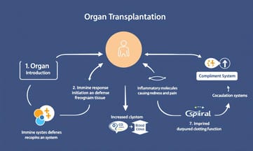 當人類器官不夠時,科學家為什麼把希望放在豬身上?