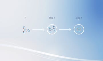 解析Retatrutide如何結合三重受體高效調節代謝