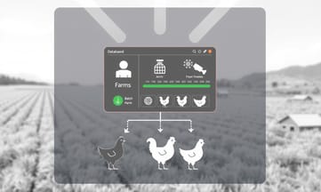 2_img_chicken-essence-nutritional-impact-health.jpg