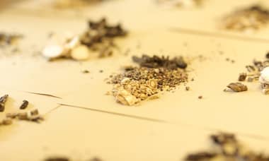 中醫新療法：乾癬、關節炎的希望之光