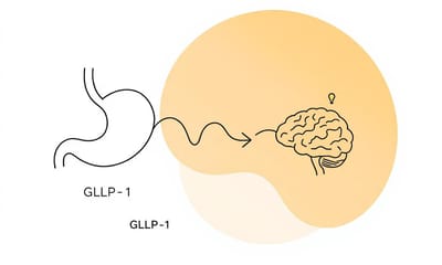 減重失敗的3個原因：為什麼體重總是降不下來？（下集）