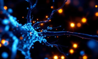 亞甲藍用途與最新研究觀點：老藥新興應用的資訊整理