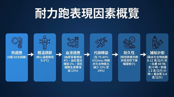 長跑新手適應高溫訓練時如何影響燃脂機制與耐力表現？