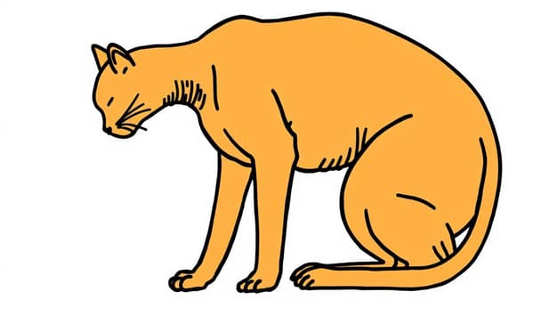 瑜珈動作入門：新手必學的7個基礎體式與正確練習要點