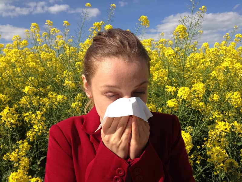 improve-skin-allergies-probiotics