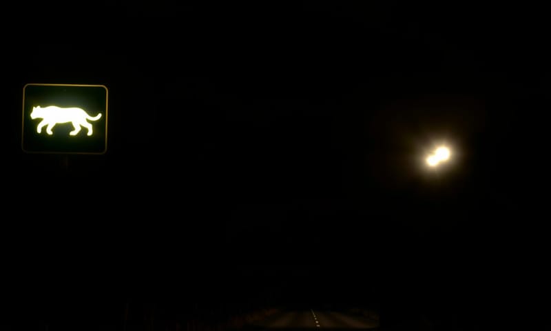 當代滅絕的場景：不僅是動物，更是消失的家園