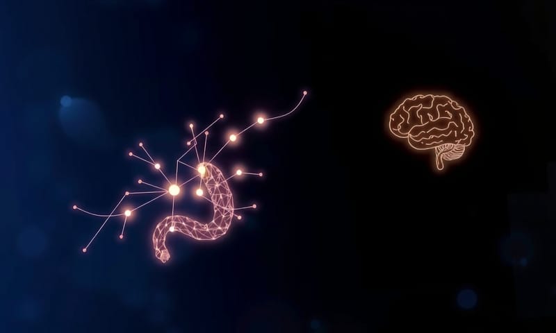 腸道與大腦的神秘連結：腸腦軸線的抽象示意