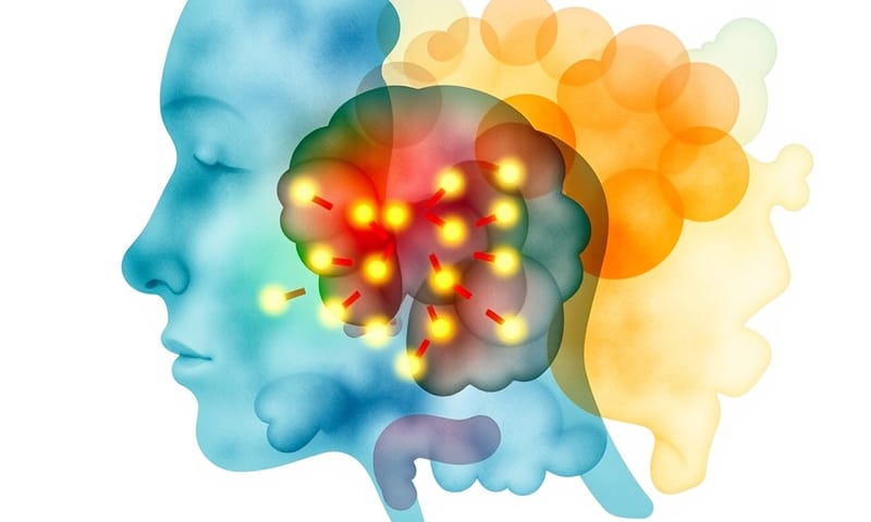 腸道與皮膚的神秘連結