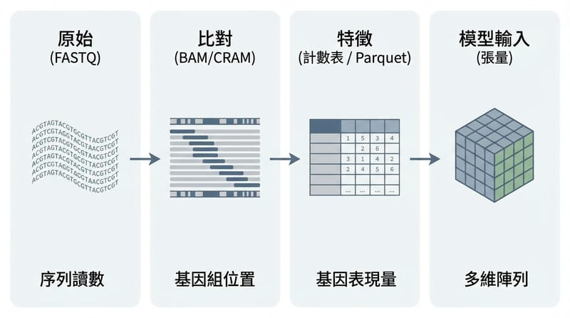 圖片 2（中段｜核心拆解｜Type 3 多視角示意圖）：同一份生物資料在不同層的長相