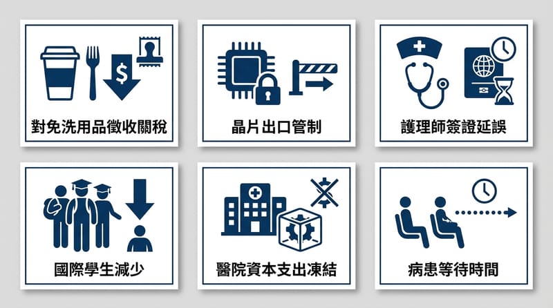 概念總覽圖：從關稅與簽證到病人端的延遲